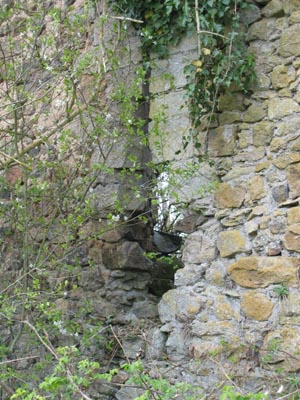 chateau03_060402.jpg (21103 octets)
