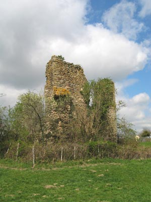 chateau02_060402.jpg (45616 octets)