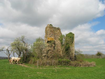 chateau05_060402.jpg (26096 octets)